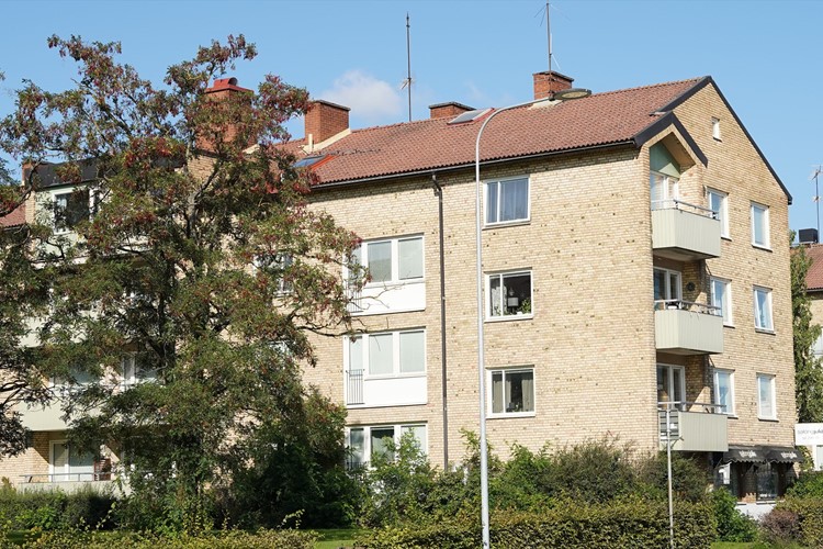 Svalan 19